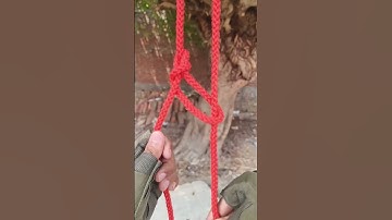 How to Tie a Rope to a Tree Branch from the Ground #hacks #knot #knotting #shorts
