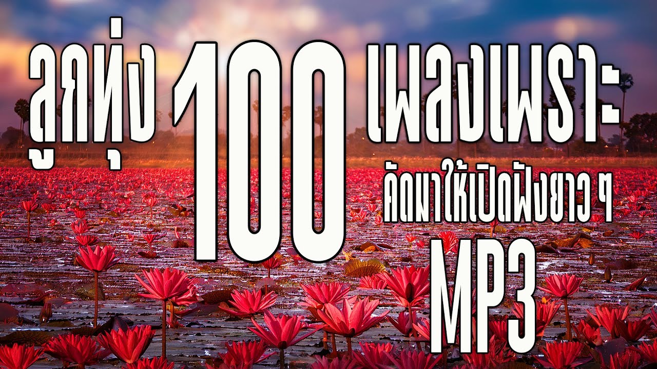 ลูกทุ่ง 100 เพลงเพราะ : MP3 คัดมาให้เปิดฟังยาวๆ