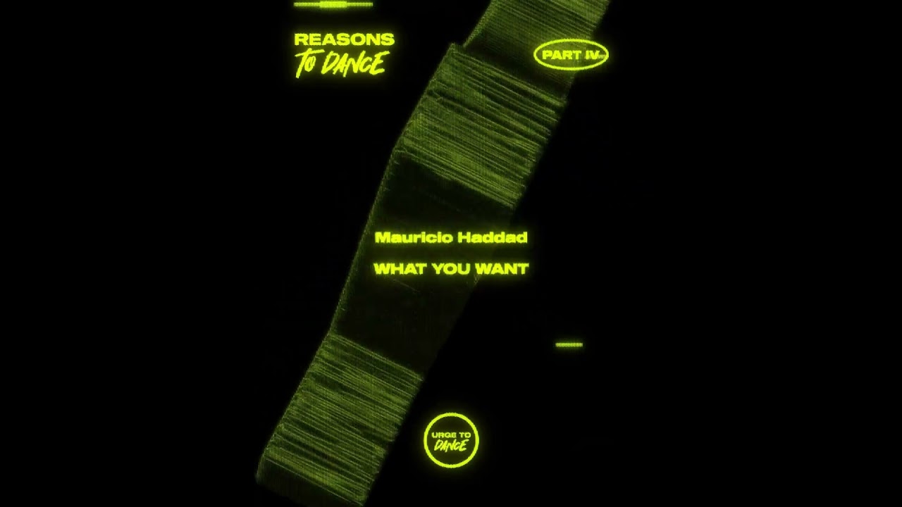 Mauricio Haddad - What You Want (Original Mix)