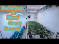 Building a marijuana grow room on a budget