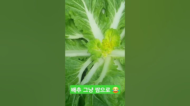 양평#농사#배추#가을#일상#관리#지속#수확#멍#구독#귀촌#꿀팁#좋아요#초보농사#주말농장#농부#자연#친환경#열심히#설명#키우기#농작물#방법#놀기#힐링#여유#건강#기다림#경험