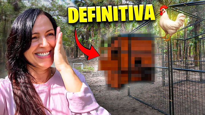 Construyendo la CASA DEFINITIVA de los Pollitos 🐥🔥 Sandra Cires Vlog