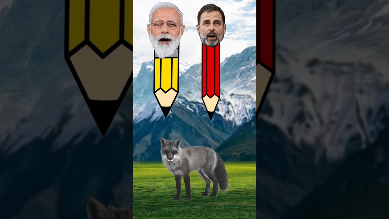 लोमड़ी का कलर कौन सा होता है ? || What colour is a fox 🦊  || 