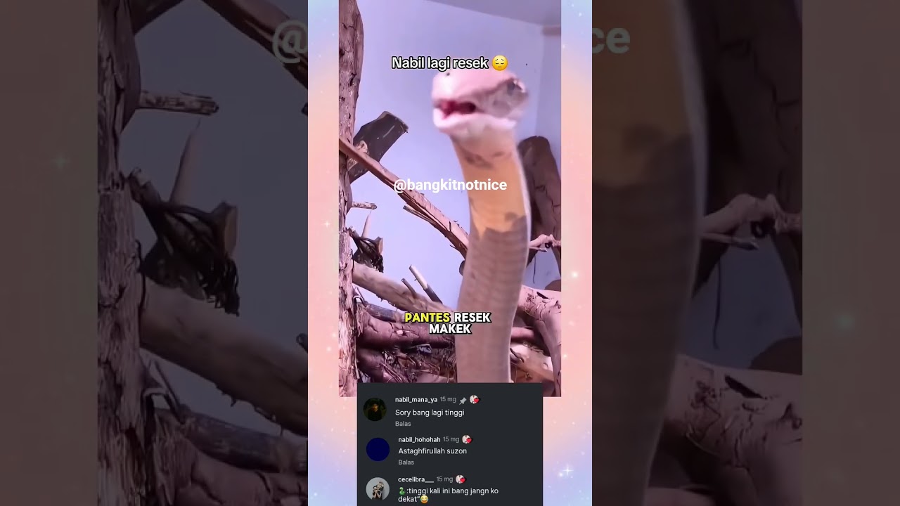 ULAR MAKE 😄😄 #shorts #animals #shortvideo