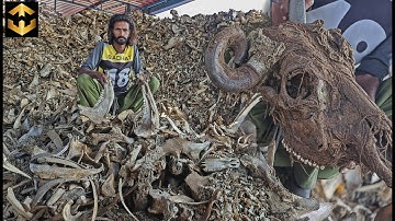 Unbelievable Recycling Secrets! How Animal Bones Turn Into Stylish Buttons | Factory mass Production