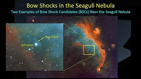 Stellar Bow Shocks in the Seagull Nebula