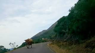 De Babia en León a Lagos de Saliencia Asturias 3ª parte