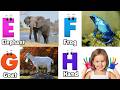 ABC Song | ABC phonics song | Letters song for baby | Phonics song for toddlers #phonics_song