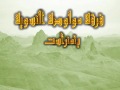 كوريم مولودة