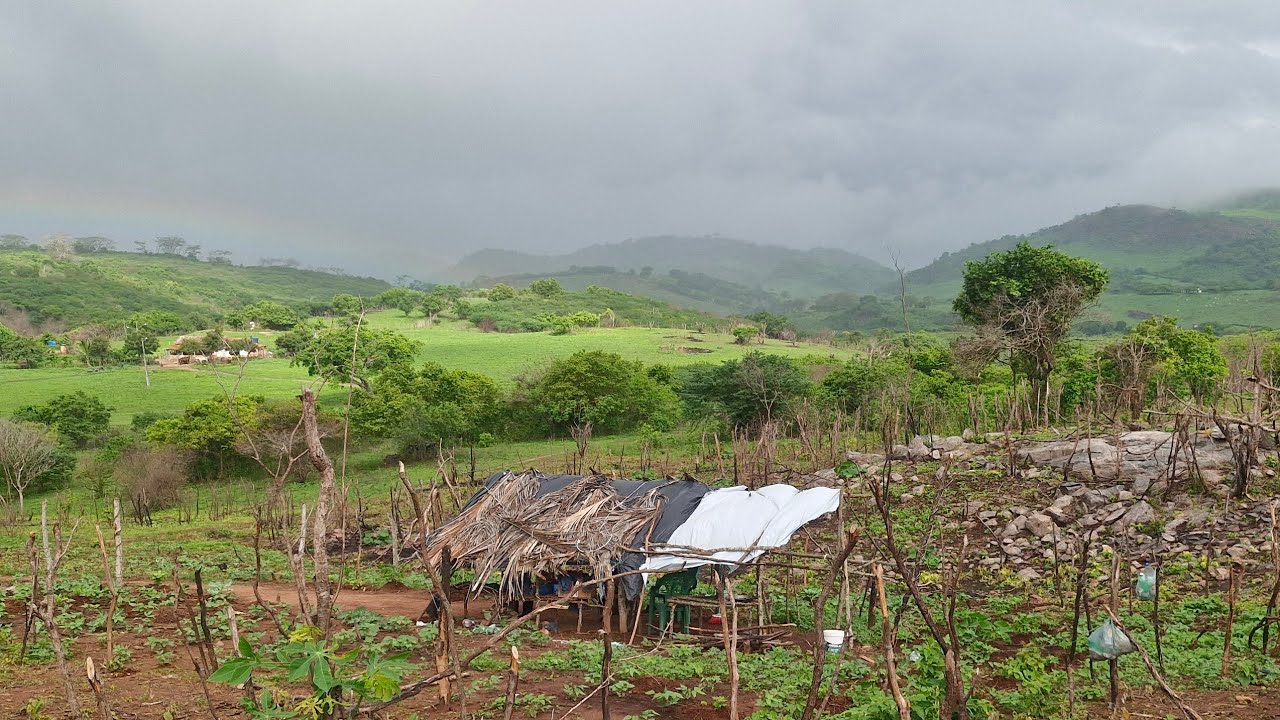 Noite de muita chuva 🌧⛈️ forte na roça do zezinho foi de fazer medo os trovão 