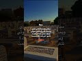 سياتي يوم يحتضنني قبري