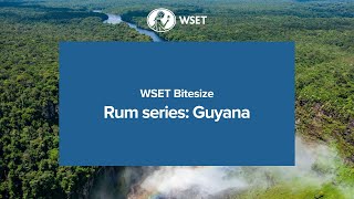 WSET Bitesize -  Rum series: Guyana