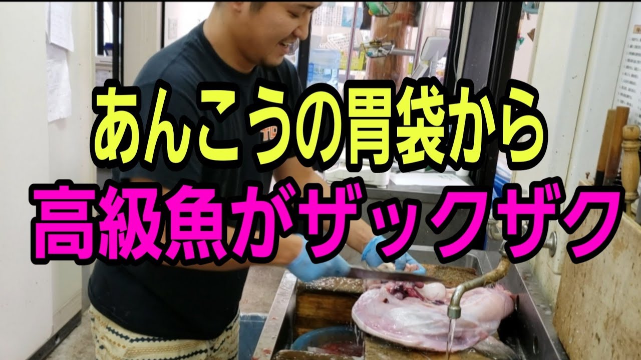 あんこうの胃袋から高級魚がザックザク大量に出てきた 糸魚川の魚屋さん 伝兵水産 Youtube あんこうの胃袋から高級魚がザックザク大量に出てきた 糸魚川の魚屋さん 伝兵水産 Youtube