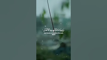 ﴿ ٱلَّذِينَ آمَنُوا بِآيَاتِنَا وَكَانُوا مُسْلِمِينَ ﴾ 💙 | سورة الزخرف 69-73 | ياسر الدوسري