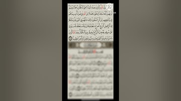 تلاوه خاشعه أرح سمعك وقلبك سوره الفتح