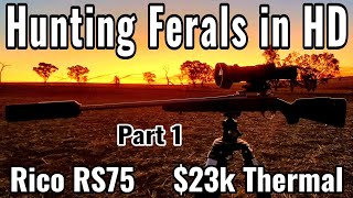 Rico RS75 • Hunting Ferals • 1280 HD • $23k • Part 1