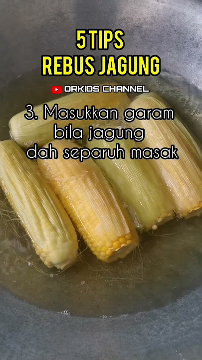 Cara Rebus Jagung Agar Tak Kecut #jagung