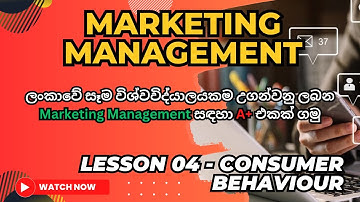 Marketing Management. Lesson 04   Consumer Behavior