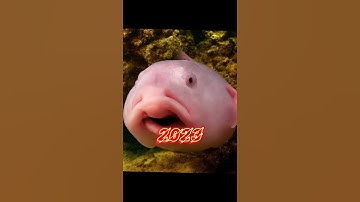 2023 blob and 5000 bce blob ||mythical biology|| #shortvideo #viral #shortsvideo #youtubeshorts