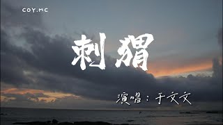 Video thumbnail of "于文文 - 刺猬『那年十六懷揣一腔美夢 在臆想中渾身髮熱』（動態歌詞/Lyrics Video/4k）"