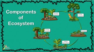 Components of Ecosystem | Grade 4 | Unit-2 | General Science | SNC | PEN Academy