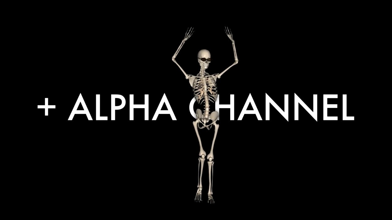 Skeleton Belly Dancer - Royalty free loop - YouTube