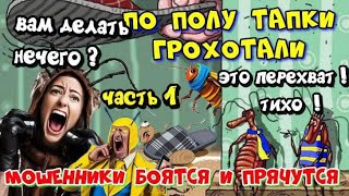 видео: ЧАСТЬ 1 ♨️💥МОЩНАЯ ДЕЗИНФЕКЦИЯ МОШЕННИКОВ ИЛИ ПО ПОЛУ ТАПКИ ГРОХОТАЛИ 🔥💣 картинка: ЧАСТЬ 1 ♨️💥МОЩНАЯ ДЕЗИНФЕКЦИЯ МОШЕННИКОВ ИЛИ ПО ПОЛУ ТАПКИ ГРОХОТАЛИ 🔥💣