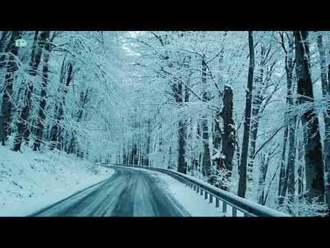 ოთახი #8 - Room #8