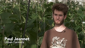 Paul Jeannet van UrbanFarmers over het Qlipr gewasklemsysteem