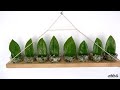 Creative Idea for ZZ Plant Mini Wall Hanging Decor in Small Glass of Water (Zanzibar Gem)