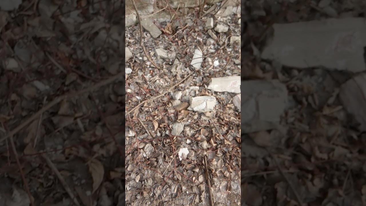 Игорь путешествие новая рубрика