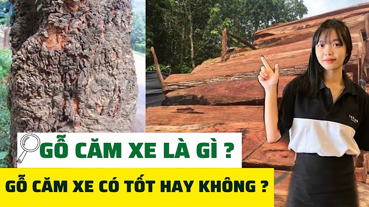 Gỗ căm xe bao nhiêu 1 khối