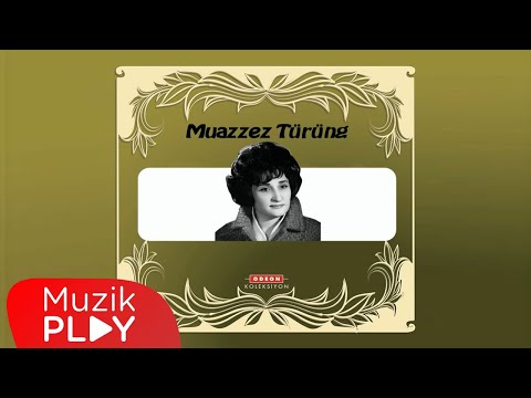 Yine Bir Dost Bulamadım - Muazzez Türüng (Official Audio)