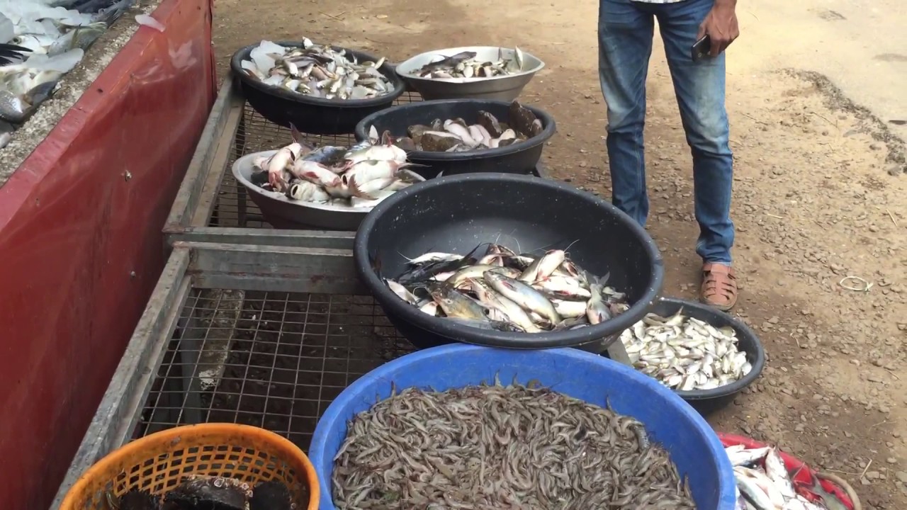 Fresh Fish in Kerala - Fish Vendors of  Kerala | Indian Street Food | Eat East Indian