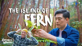 The World’s Hidden Hotspot for Plant Diversity | Botanical Wonders