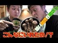 【高級食材】松茸大量!贅沢松茸ご飯! Matsutake mushroom rice