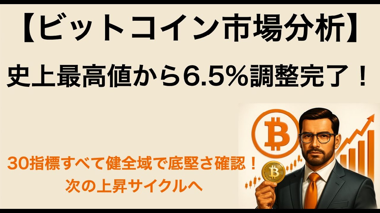📈【8/30（土）ビットコイン市場分析】史上最高値から6.5%調整完了！30指標すべて健全域で底堅さ確認！次の上昇サイクルへ｜ビットコイン一本リーマン