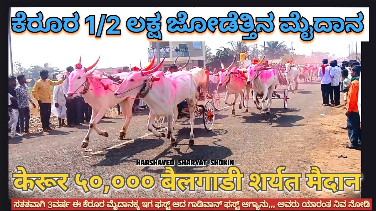 ಕೇರೂರ 50,000 ಜೋಡೆತ್ತಿನ ಮೈದಾನ,केरूर 50,000 बैलगाडी शर्यत मैदान, Kerur 50,000 General sharyat Maidan