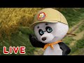 🔴 ПРЯМОЙ ЭФИР! LIVE Маша и Медведь 👱‍♀️🐻 Любимые серии панды 🐼 📺