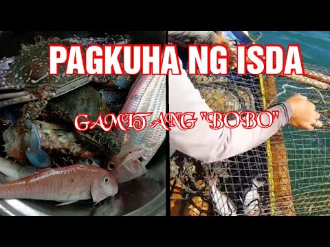 Video: Umiikot Na Pangingisda