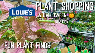 Chill Late Night Plant Shopping Big Box Stores! Shop w/ Me at Lowes! Houseplant Tour August 2022