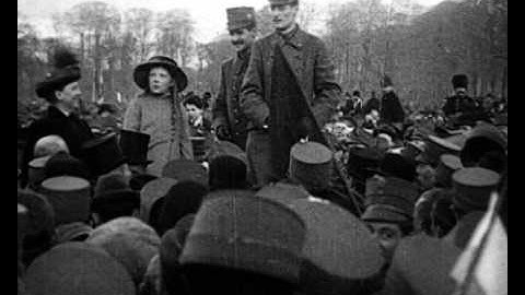 Monster-Demonstratie op Maandag 18 November 1918 op het Malieveld te 