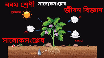 class 9 life science chapter 3 photosynthesis নবম শ্রেণীর জীবন বিজ্ঞান সালোকসংশ্লেষ