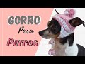 Gorro Para Perro a Crochet (Medidas en la descripción) | Victoria Palacio