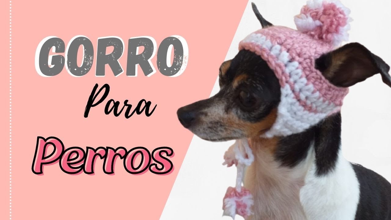 ¿Cómo puedo combinar la gorra de mi perro chihuahua con su outfit diario?