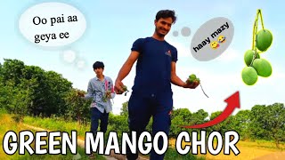 Kachy Aam KY Bagh Ka toure Kreny ponch gy 😍|Green Mango's Khaye Woh bhi free me