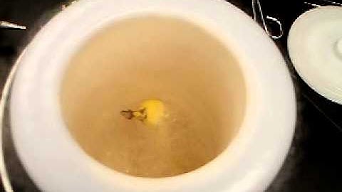 Liquid Nitrogen - Banana