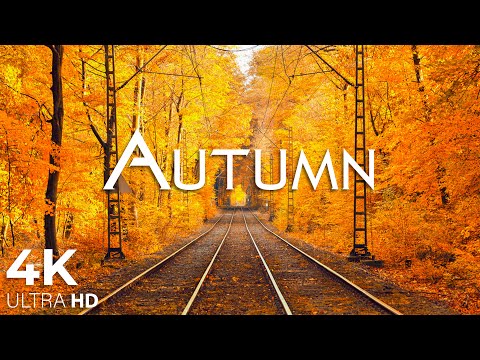 Enchanting Autumn Forests with Beautiful Piano Music🍁4K Autumn Ambience & Fall Foliage