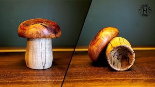 The last Mushroom! || March Mushroom Madness by Hewman Made 391 views 1 year ago 7 minutes, 9 seconds