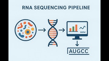 NGS Tutorial and RNA seq workflow and pipeline Part 1 #education #shorts #viral #viralvideo #viral